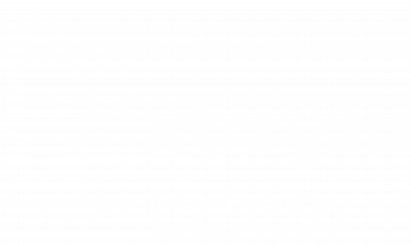 leczenie alergii u zwierząt Gdańsk